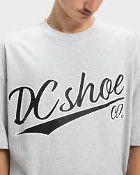DC SHOES SUBSTITUTE TEE