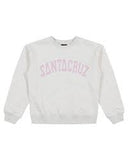 SANTA CRUZ COLLEGIATE STRIP FRONT SWEATER STANDARD CREWNECK